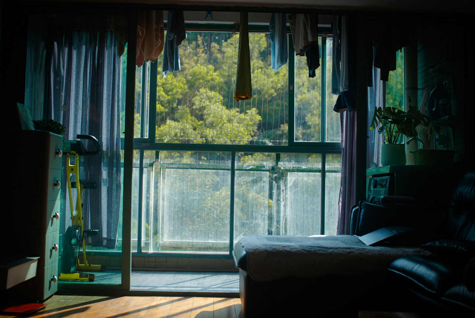 The Landlord Won’t Fix It: How to Turn a Mold Complaint Into Evidence