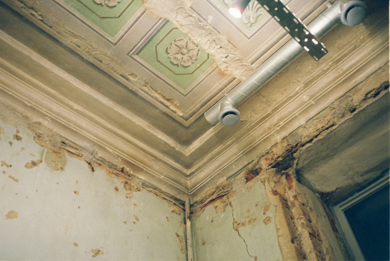 Your Property Manager Says It’s "Just Mildew." Here’s What to Do Next.